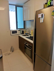 Dakota Residences (D14), Condominium #538163341